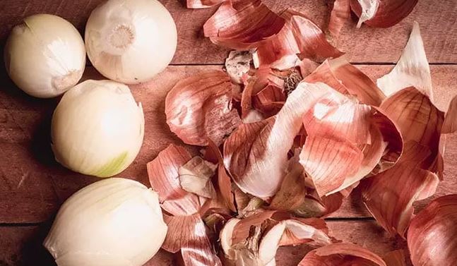 onion