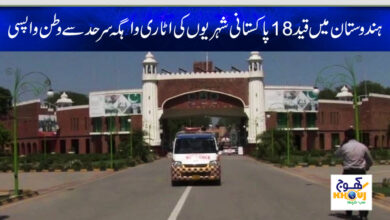 pakistani return from india