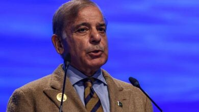 pm shebaz sharief