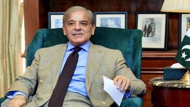 pm shebaz sharief
