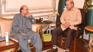 pm shebaz sharief,asif zardari