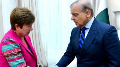 pm shehbaz sharief,chrisna lina,imf