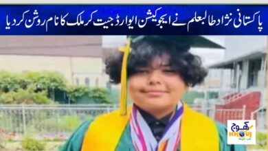 shah zain afridi
