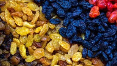 Raisin dried fruit