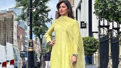 actress mehvish hayat