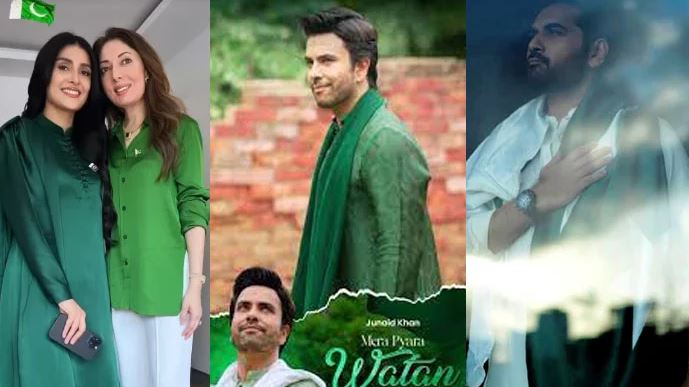 artists and jashan e azadi