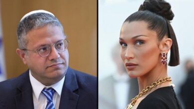 bella hadid, bin goier