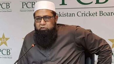 chief selector