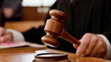 court,pti,workers