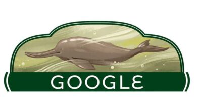 google doodle