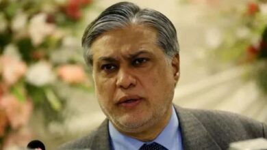 ishaq dar
