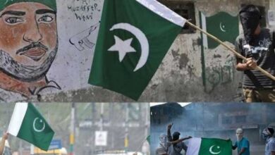 jashan e azadi pakistan ,occupied kashmir