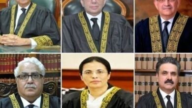 judges