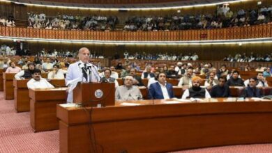 national assembly,pm shebaz sharief