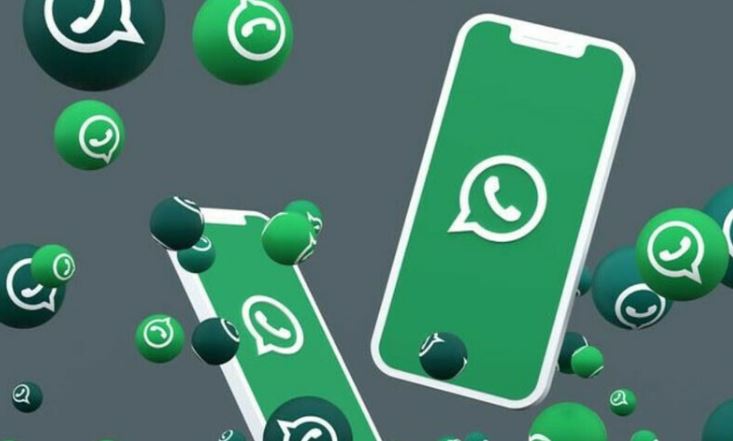 one app,whats app,new feature