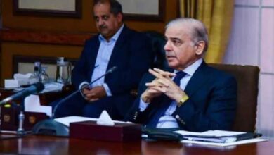 pm shebaz sharief