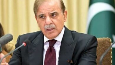 pm shebaz sharief