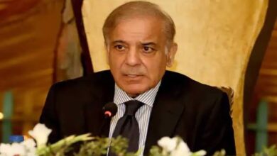 pm shebaz sharief apeal