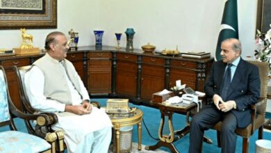 pm shebaz sharief ,raja riaz