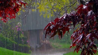 rain in pakistan