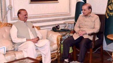 shahbaz sharif and raja riaz