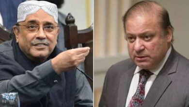 zardari and nawaz sharif