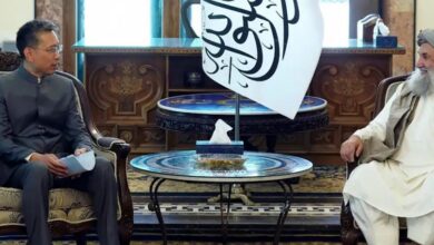 afghan pm ,china