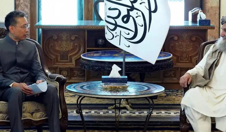 afghan pm ,china
