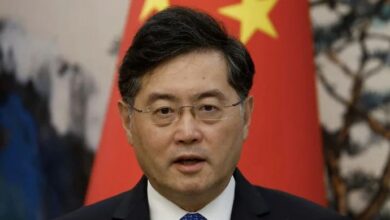 china minister suspend