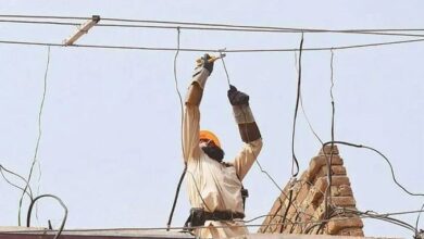 electricity thief