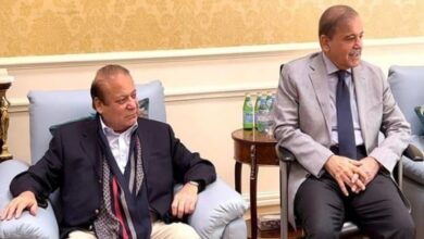 ex pm shebaz sharief,nawaz sharief