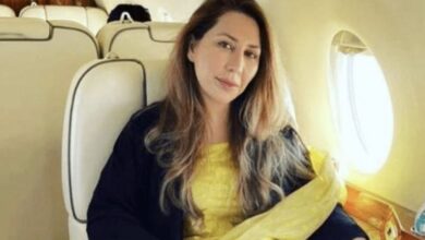 farha gogi