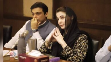 hamza shebaz, maryam nawaz