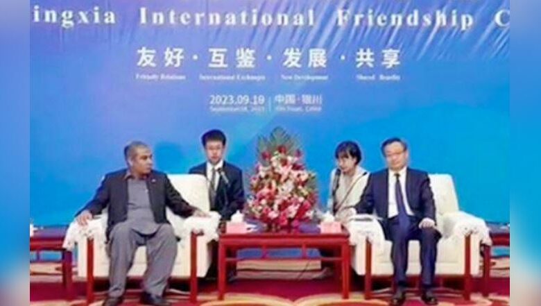 ingxia international friendship