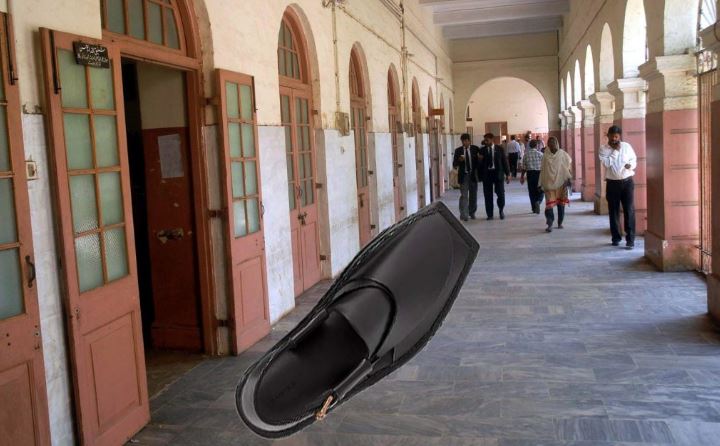 judge shoes