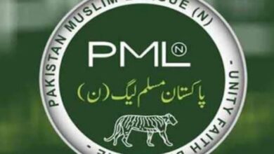 logo of muslim league n