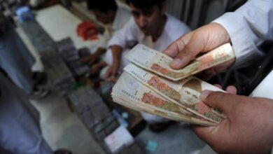 pakistani rupees