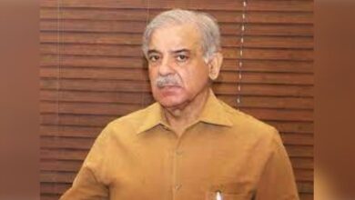 shahbaz sharif return back lahore