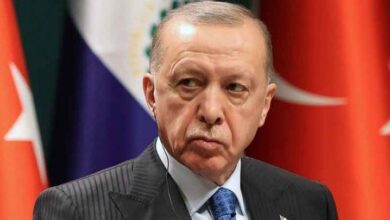 tayyab erdogan