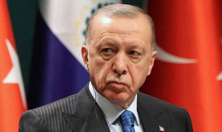 tayyab erdogan