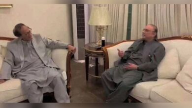 zardari meeting with chaudhry shujaat