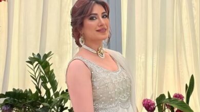 actress mehvish hayat