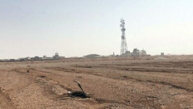 attack in americi adday