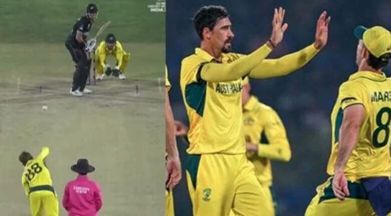 australia vs new zealand