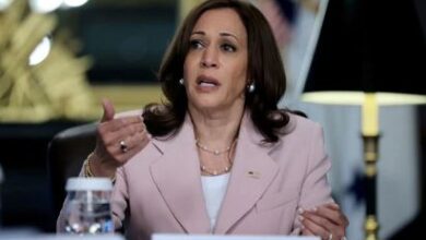 camilla harrice ,voice president of usa