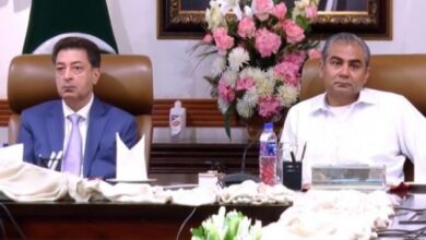 chief minister punjab,mohsin naqvi,sikandar sultan raja