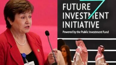 christilina jajeo of imf