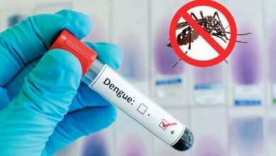 dengue in punjab