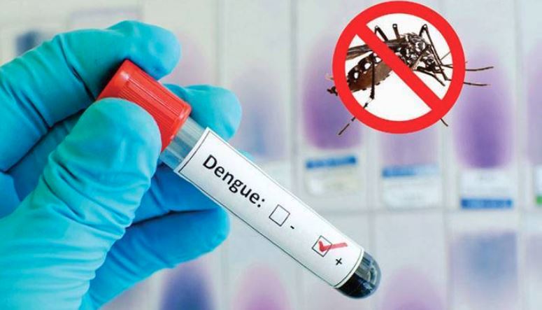 dengue in punjab