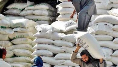 flour price